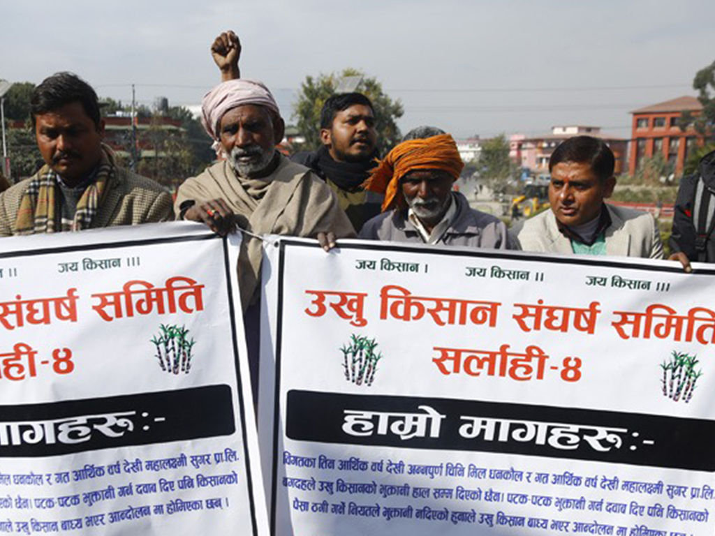 Subsidy amount to be transferred to sugarcane farmers' account by Thursday